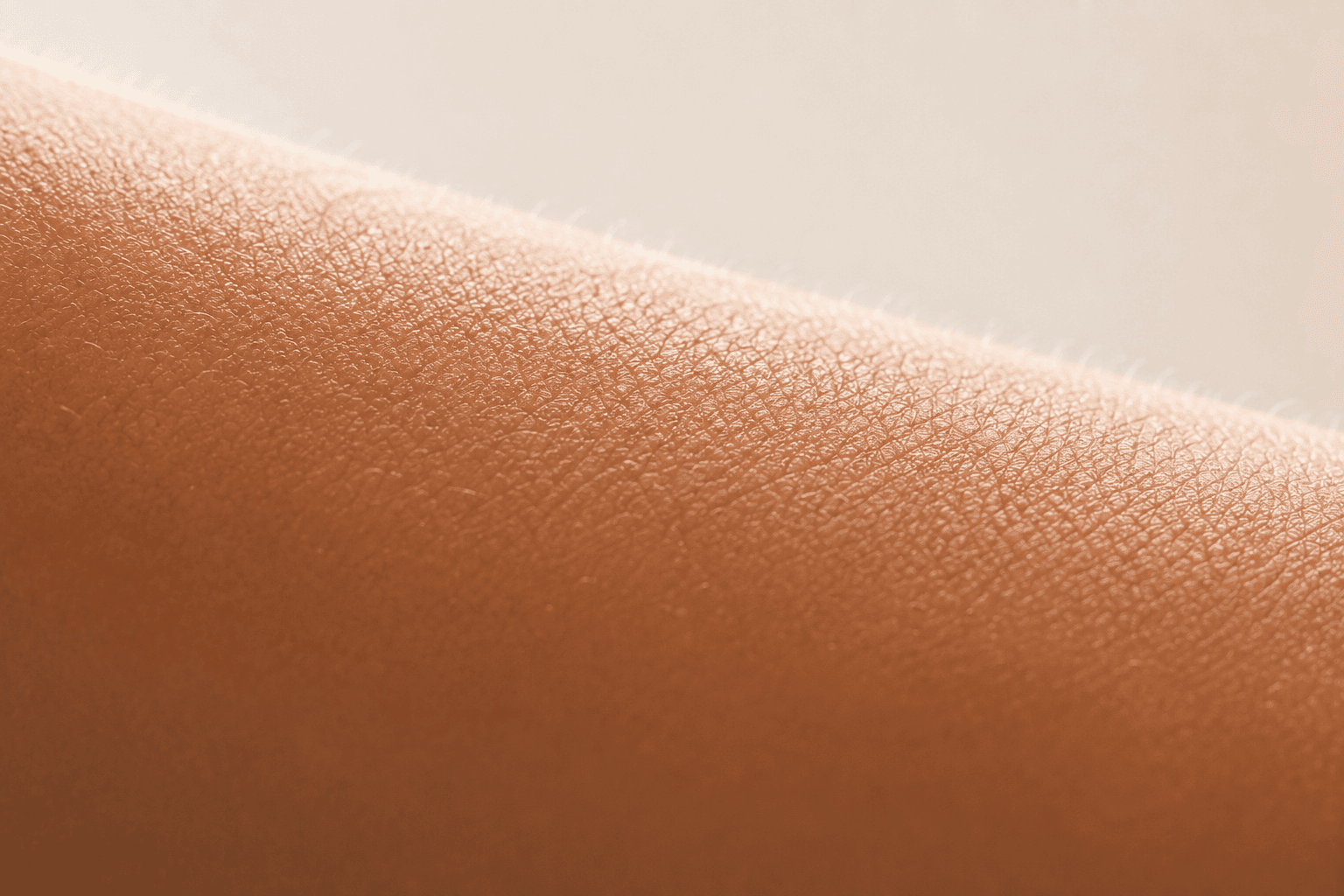 Macro of skin in soft daylight — the surface where signals are read